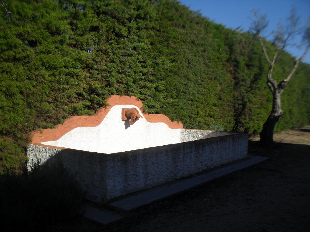 Quinta Do Outeiro Alto Villa Constância Buitenkant foto