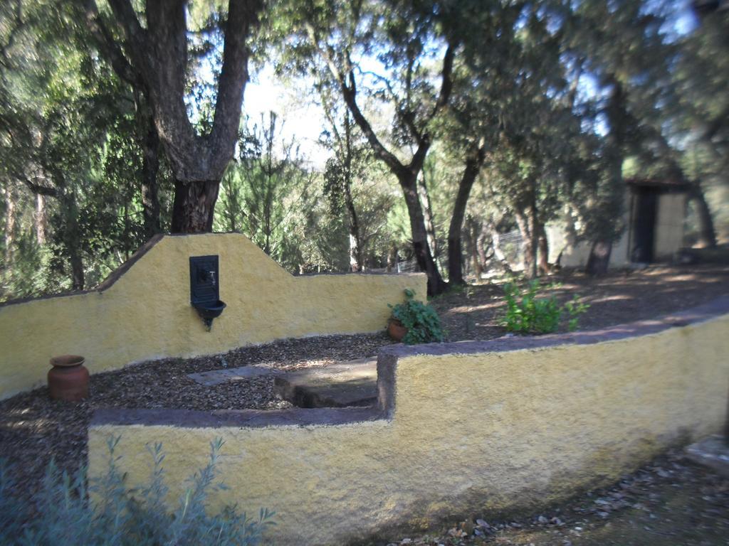 Quinta Do Outeiro Alto Villa Constância Buitenkant foto