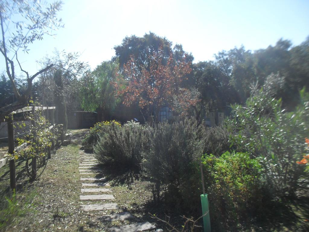 Quinta Do Outeiro Alto Villa Constância Buitenkant foto