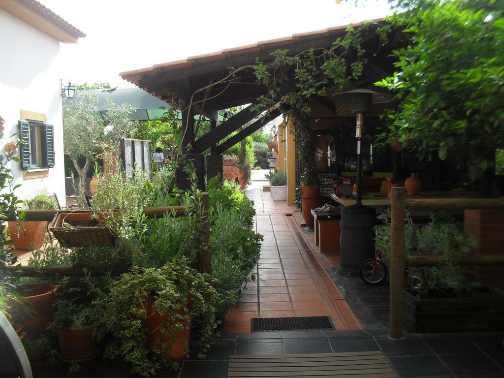 Quinta Do Outeiro Alto Villa Constância Buitenkant foto