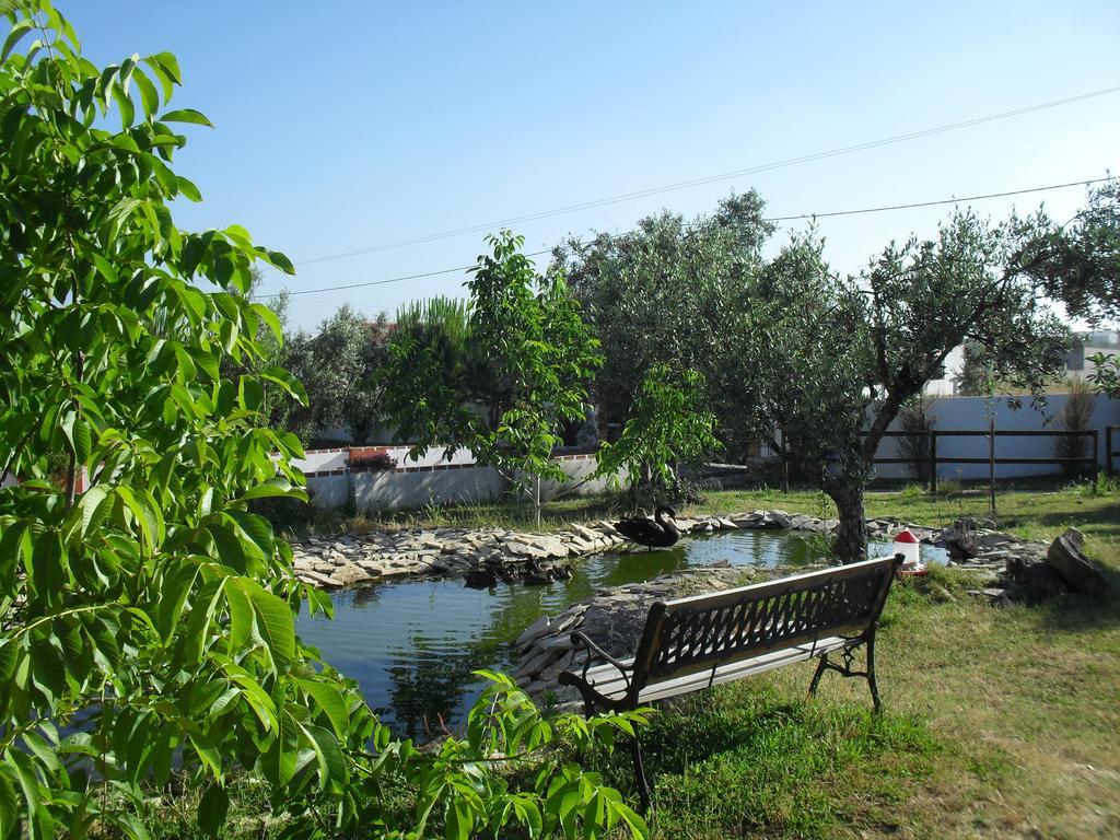 Quinta Do Outeiro Alto Villa Constância Buitenkant foto