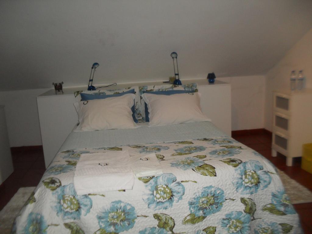 Quinta Do Outeiro Alto Villa Constância Buitenkant foto