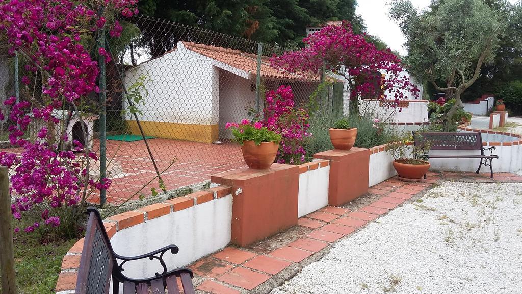 Quinta Do Outeiro Alto Villa Constância Buitenkant foto