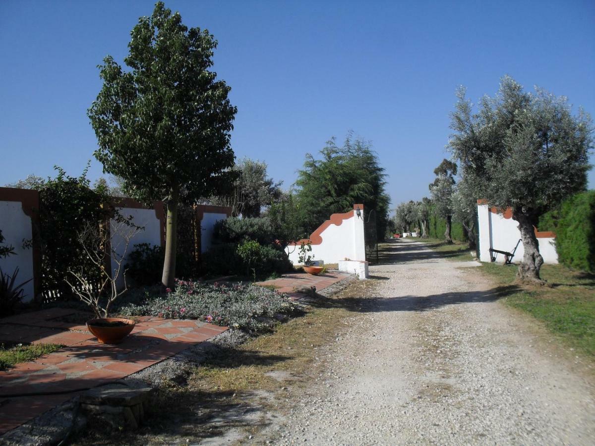 Quinta Do Outeiro Alto Villa Constância Buitenkant foto